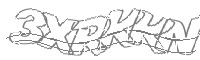 Check code